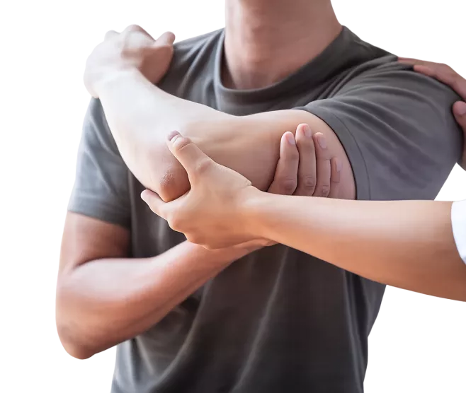 Banner Image