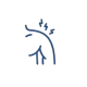 Borsite